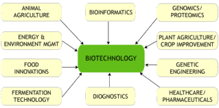 Branches Of Biotechnology Biotech Genetic Information